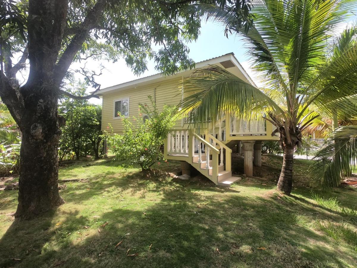 Single-Family Home With Gated Tropical Yard เวสต์เอนด์ ภายนอก รูปภาพ